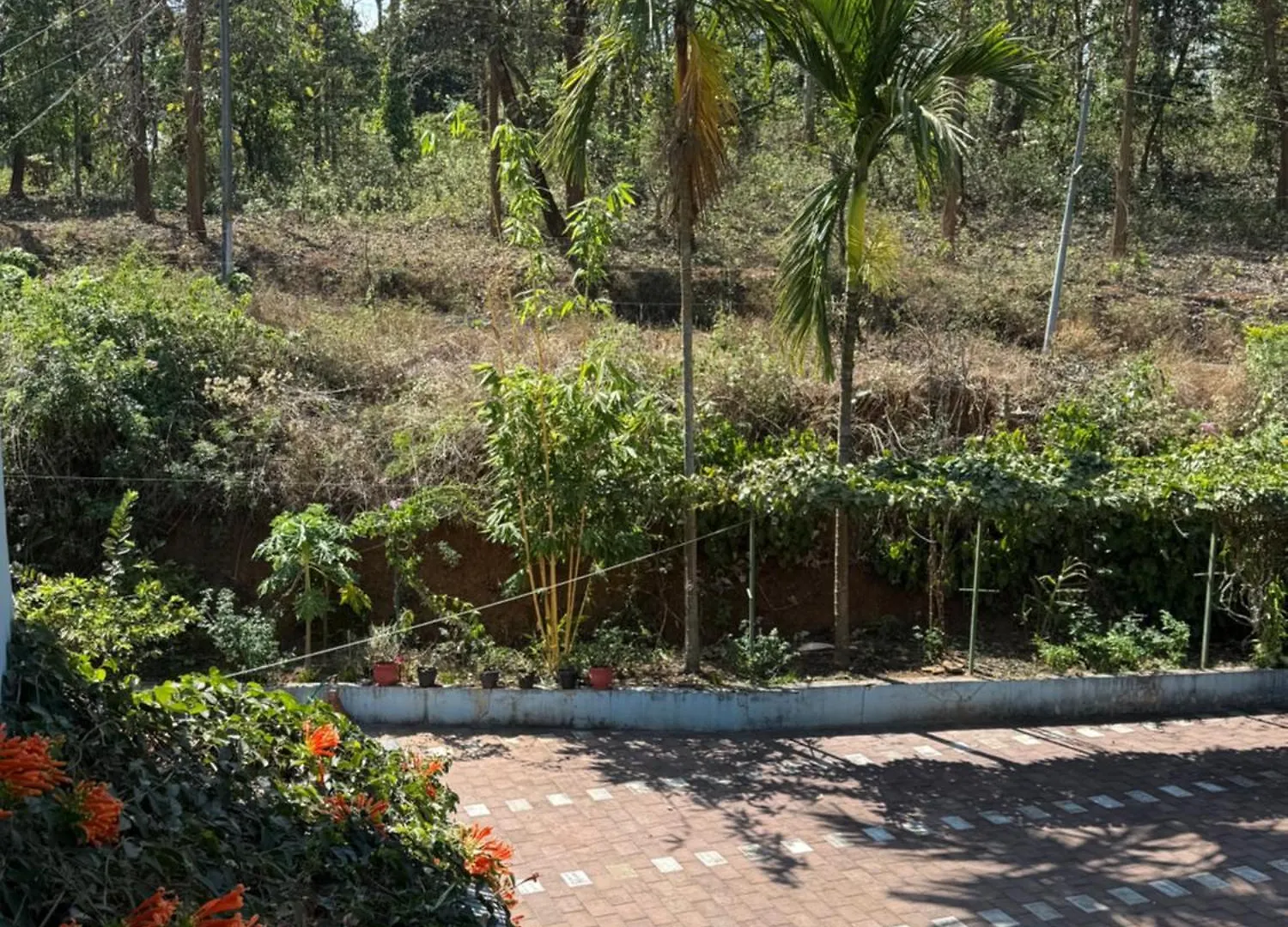 Jungle Castle Bed & Breakfast Wayanad India