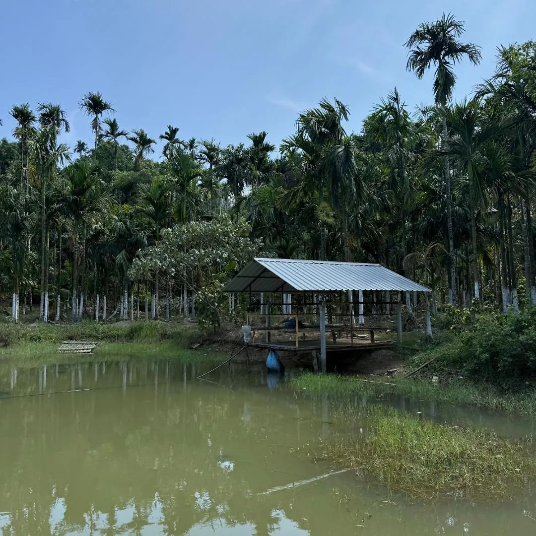 Jungle Castle Bed & Breakfast Wayanad