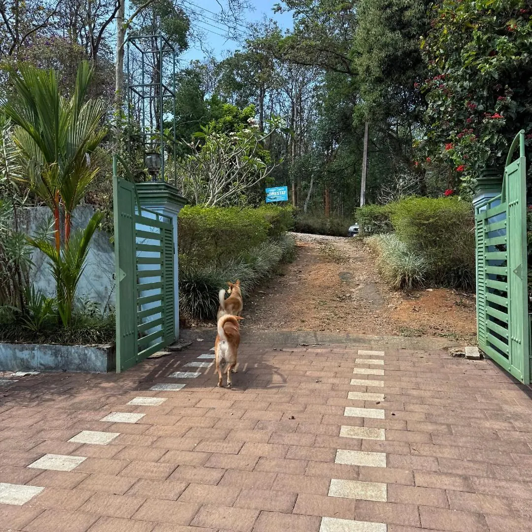 Jungle Castle Bed & Breakfast Wayanad