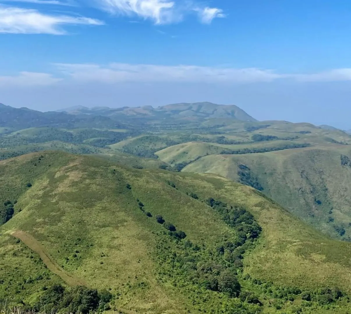 Jungle Castle Bed & Breakfast Wayanad